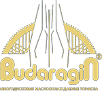 Бударагин